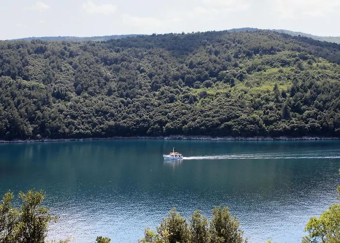 Apartments By The Sea Duga Luka - Prtlog, Labin - 3025